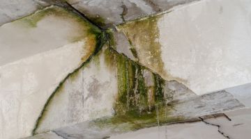 Foundation Crack Repair: Protecting Residential Safety and Structural Integrity
